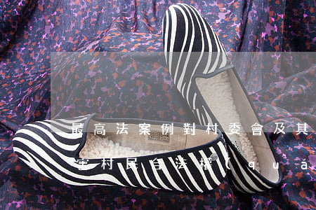 最高法案例：對村委會及其成員作出的可能侵害村民合法權(quán)益的決定，如何救濟？